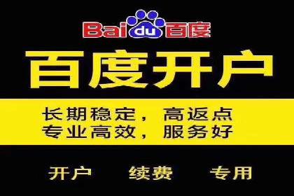 百度推广返点案例：提升广告效果与收益